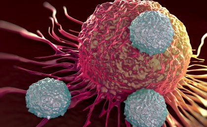 T-cells attacking a tumor cell.
